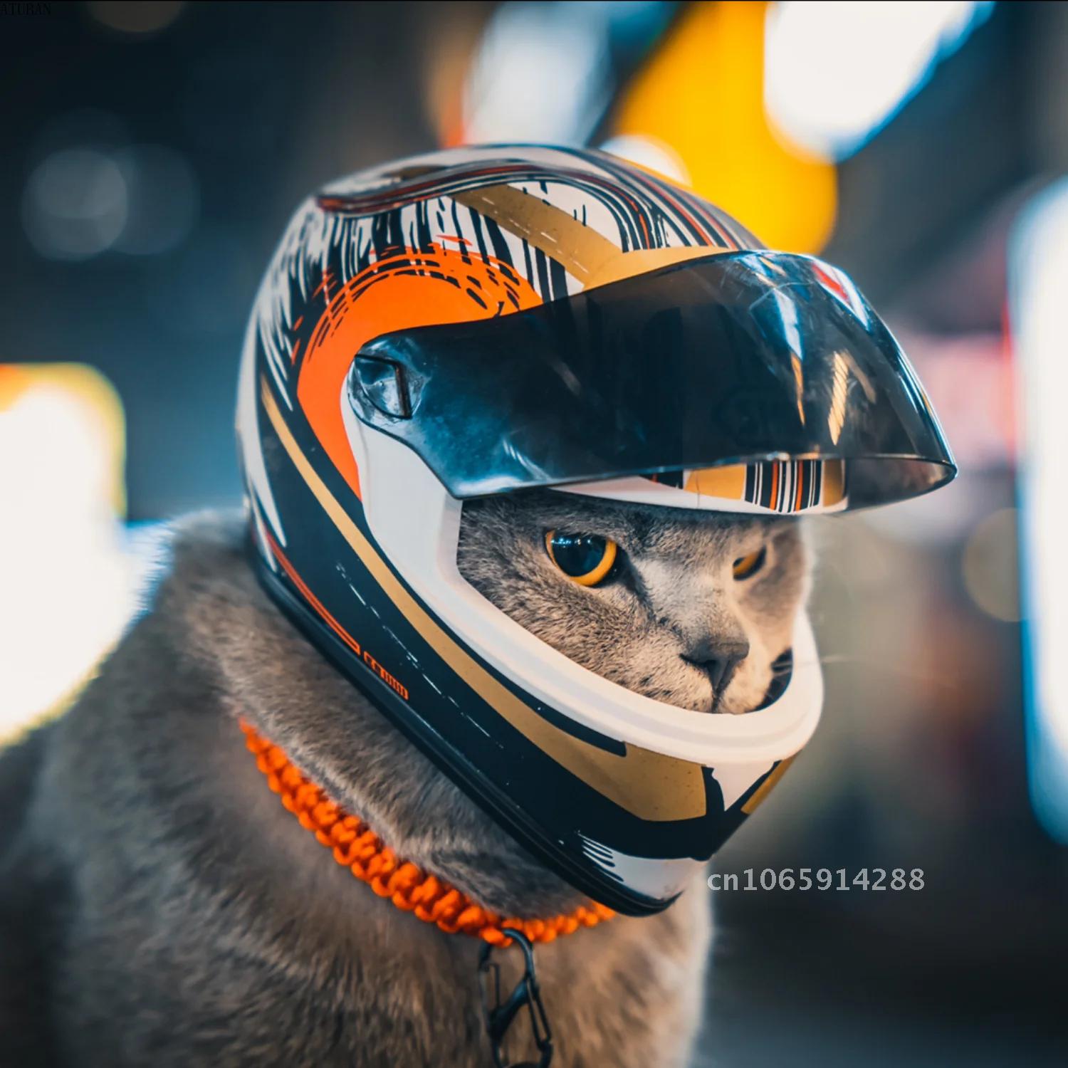 Motorcycle Gear Dogs - Фотошлемы для домашних животных, шлем для