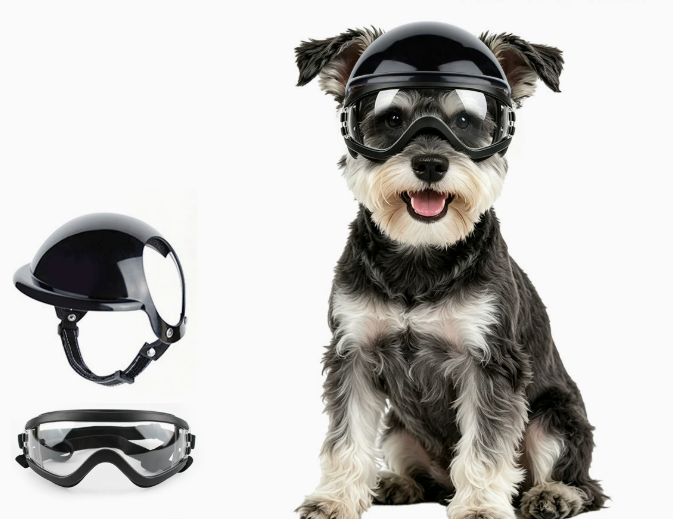 Motorcycle Gear Dogs - Набор: солнцезащитные очки и шлем для