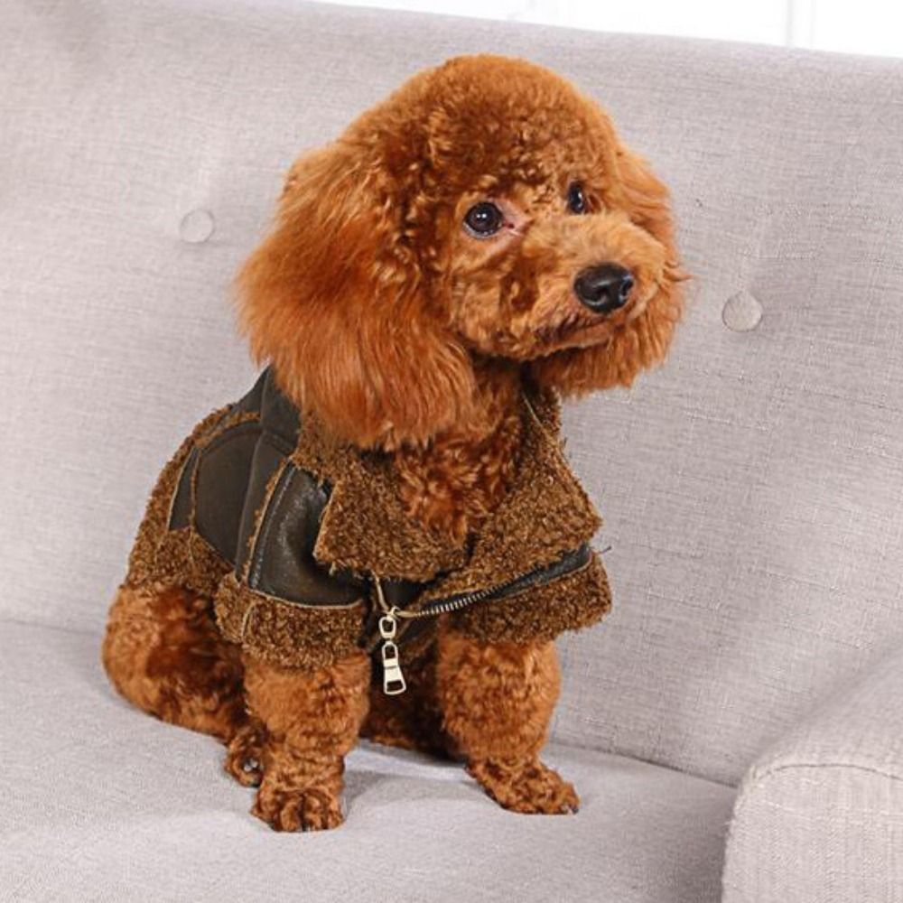 Теплое пальто для собак, утолщ – обзор и цена Motorcycle Gear Dogs