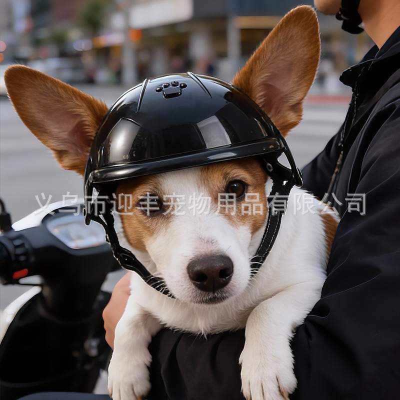 Розовый мотоциклетный шлем для – обзор и цена Motorcycle Gear Dogs