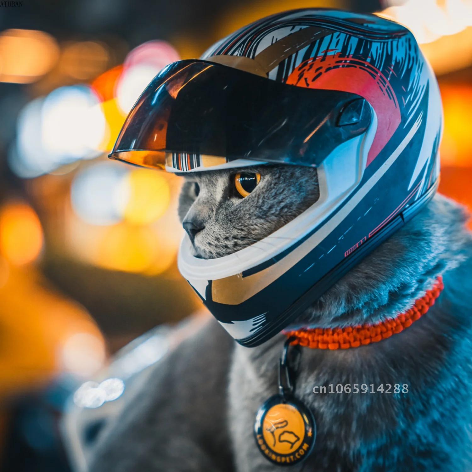 Фотошлемы для домашних животны – обзор и цена Motorcycle Gear Dogs