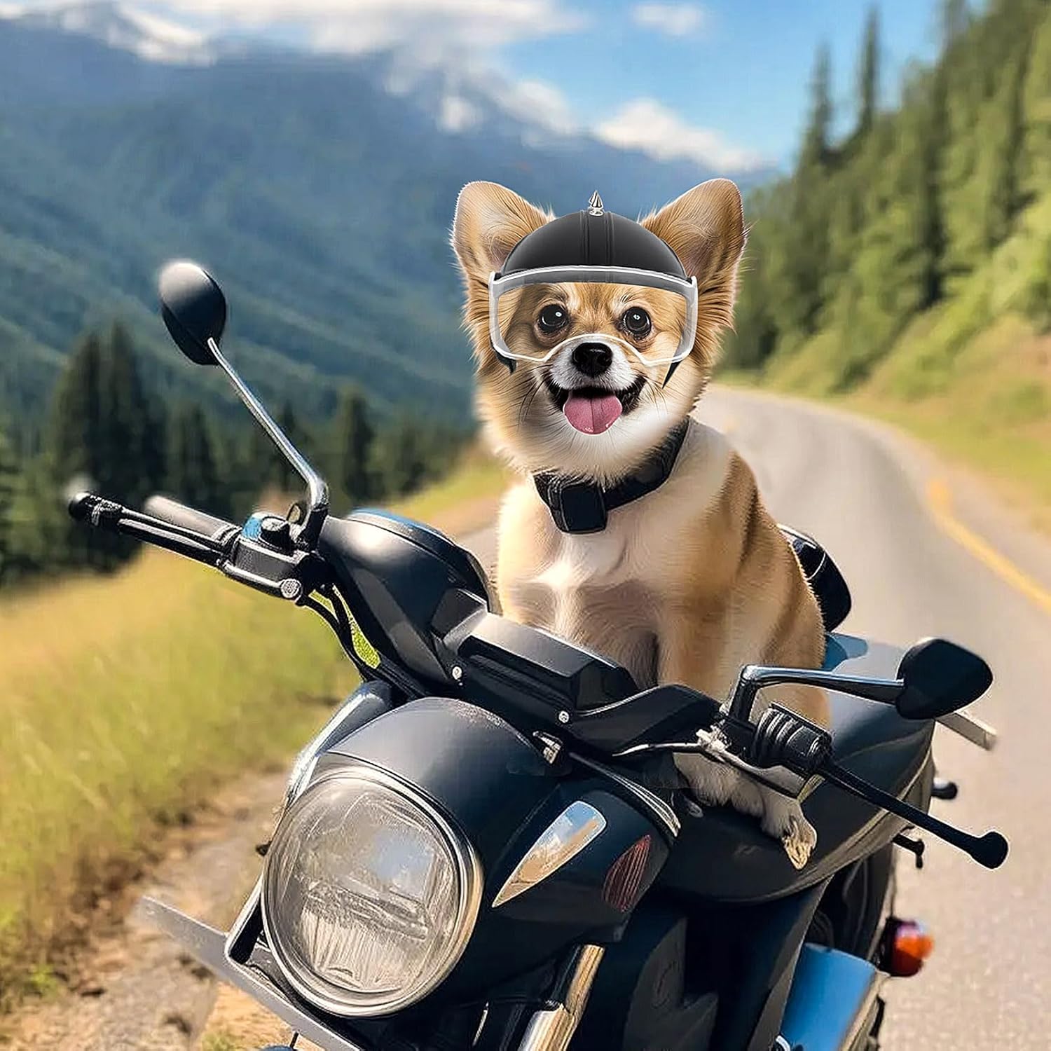 Мотошлем для маленьких собак с – обзор и цена Motorcycle Gear Dogs